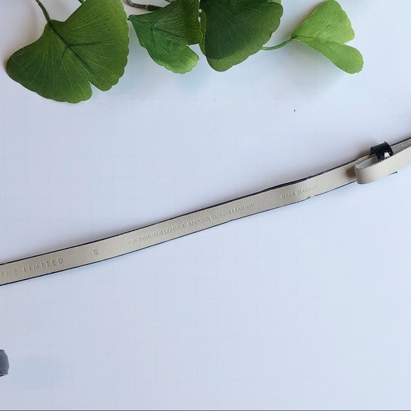 Leather Belt | The Limited - Picture 4 of 6